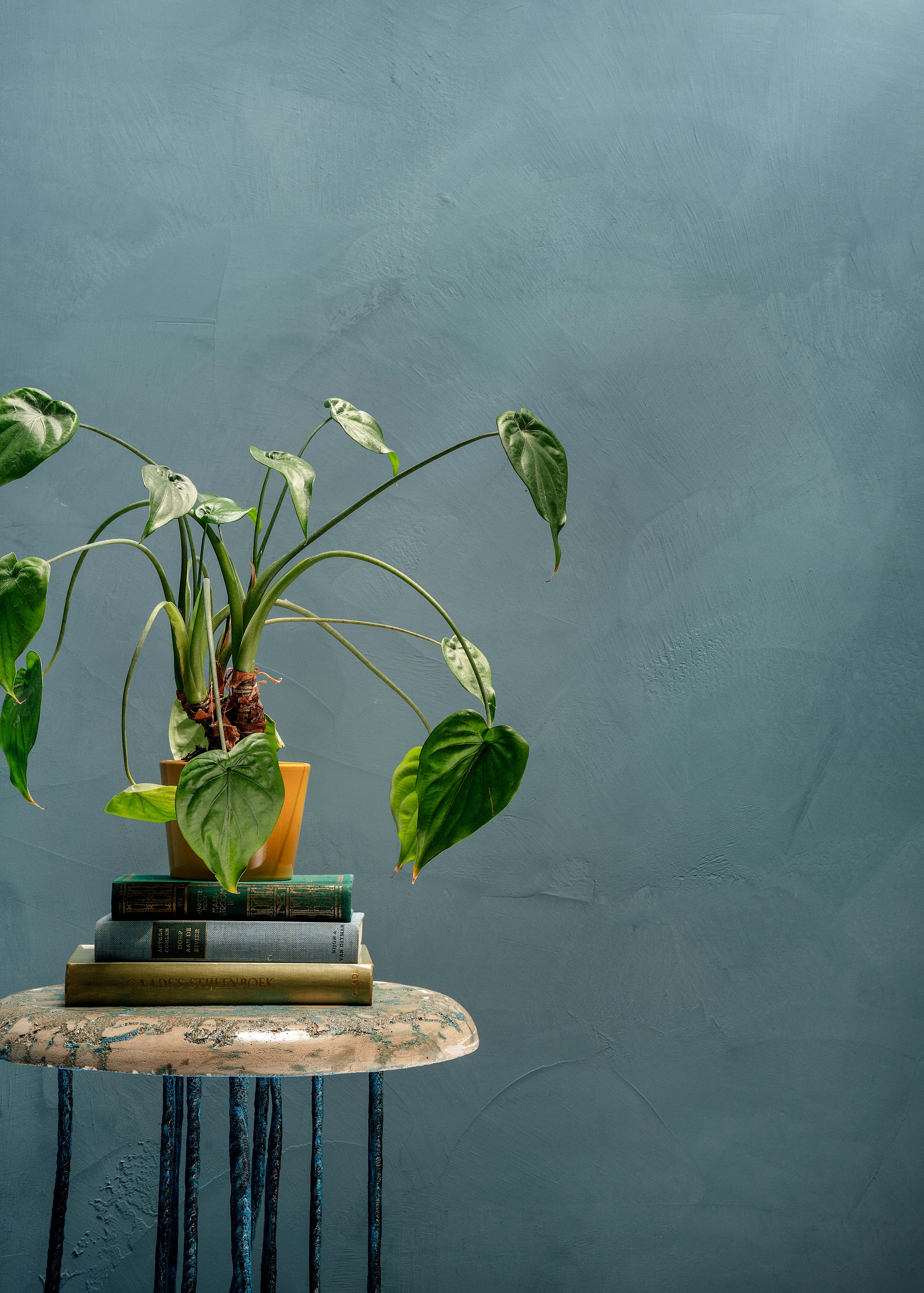 Moderne overflatebehandling med mikrosement Stuccopuro blå farge